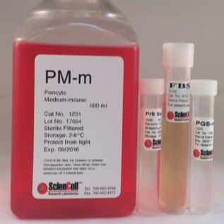 ScienCell 1231 周细胞培养基-小鼠PM-m,Pericyte Medium-mouse