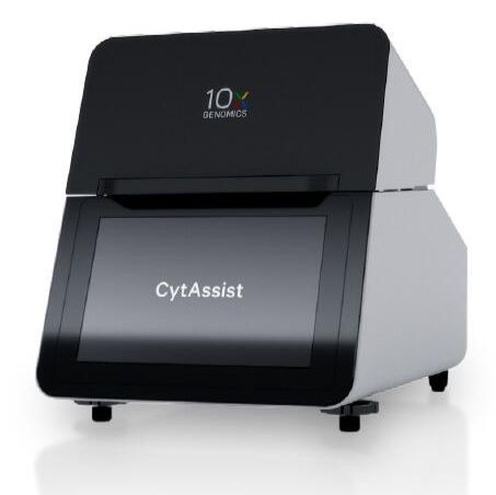 组织分析物转移系统