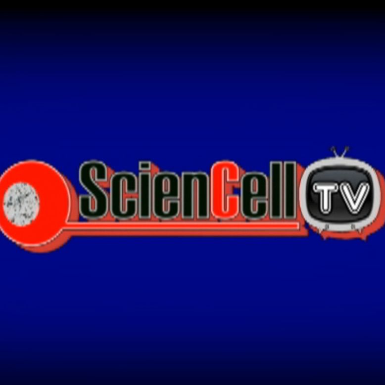 美国ScienCell Research Laboratories (原代细胞及配套全能培养基、细胞培养试剂、检测试剂盒、生长因子等)、新一代无血清培养基产品目录-4