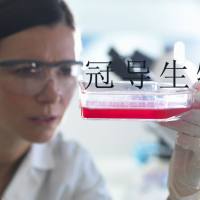 H2347;人非小细胞肺癌细胞工厂更优惠