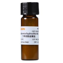 二-甲-双-胍盐酸盐 Metformin hydrochloride 