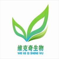 蔓荆子对照药材