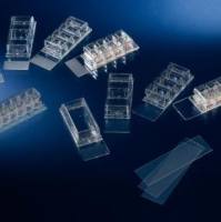 Thermo Nunc细胞刮刀，已灭菌，总长度32cm