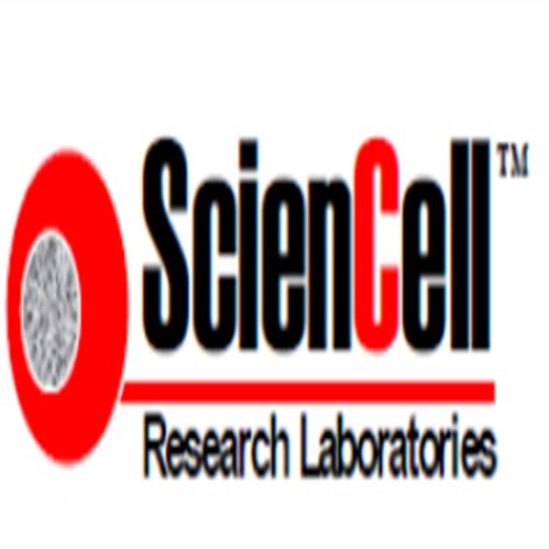 ScienCell 4201 肾系膜细胞培养基MCM，Mesangial Cell Medium