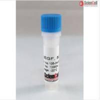 105-04ScienCell 重组人表皮生长因子 rhEGF，Recombinant Human Epidermal Growth Factor, 100 ug