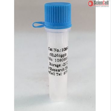 ScienCell 108-09重组人NOGGIN蛋白rhNOGGIN,Recombinant Human NOGGIN