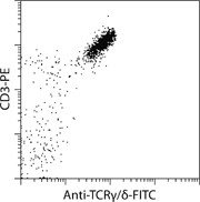 TCRγ/δ+ T Cell Isolation Kit, 