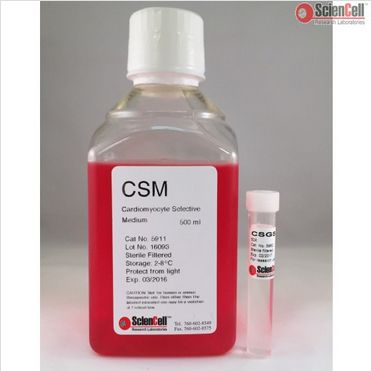 ScienCell 5911 心肌细胞选择性培养基CSM，Cardiomyocyte Selective Medium