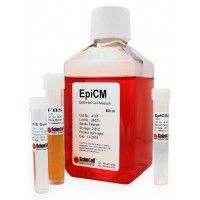 ScienCell 4101上皮细胞培养基EpiCM, Epithelial Cell Medium