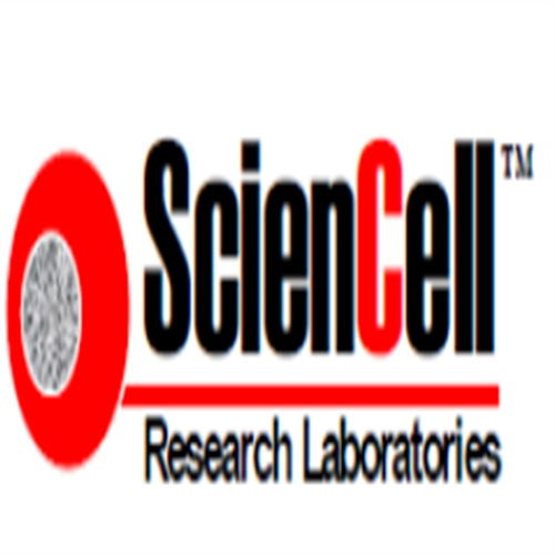 ScienCell 4201 肾系膜细胞培养基MCM，Mes