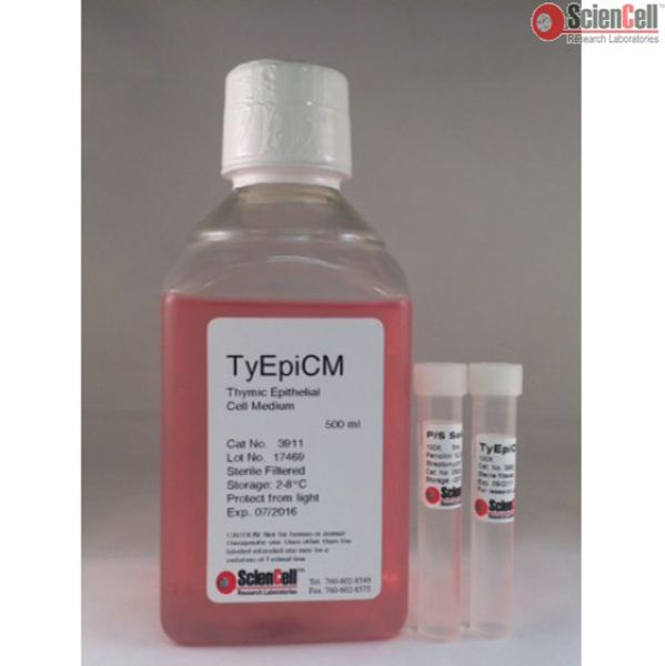 ScienCell 3911胸腺上皮细胞培养基TyEpiCM, Thymic Epithelial Cell Medium