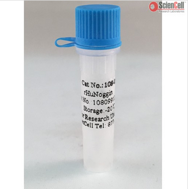ScienCell 108-09重组人NOGGIN蛋白rhN