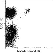 TCRγ/δ+ T Cell Isolation Kit, 