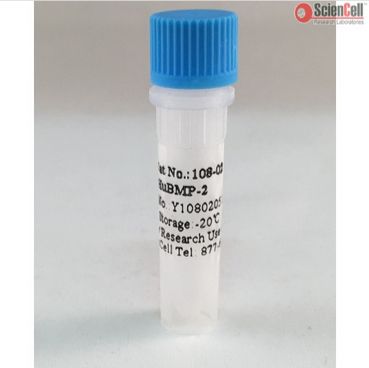 108-02ScienCell重组人骨形成蛋白-2rhBMP-2,Recombinant Human Bone Morphogenetic Protein-2, 2 ug