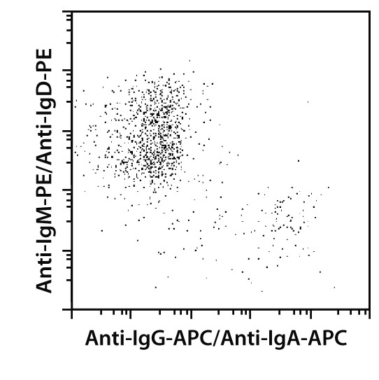 Switched Memory B Cell Isolati