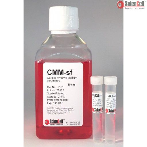 6101 ScienCell 无血清心肌细胞培养基CMM-sf, Cardiac Myocyte Medium-serum free
