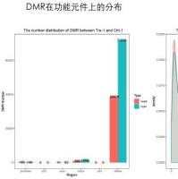 BS-seq (DNA甲基化测序)