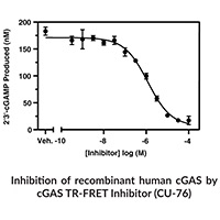 cGAS TR-FRET Inhibitor Screening Assay Kit