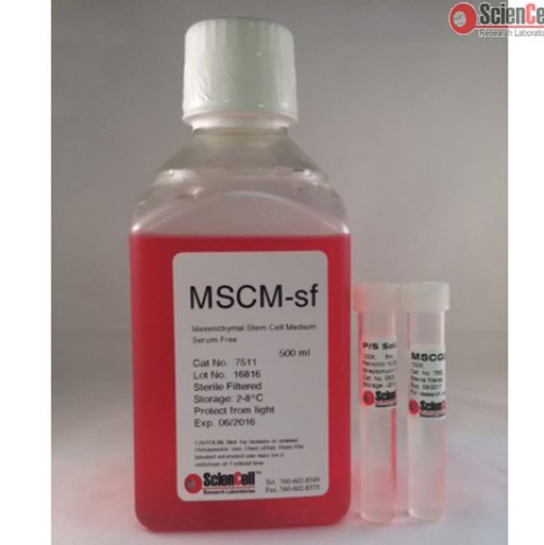 7511 ScienCell 无血清间充质干细胞培养基MSCM-sf， Mesenchymal Stem Cell Medium-serum free
