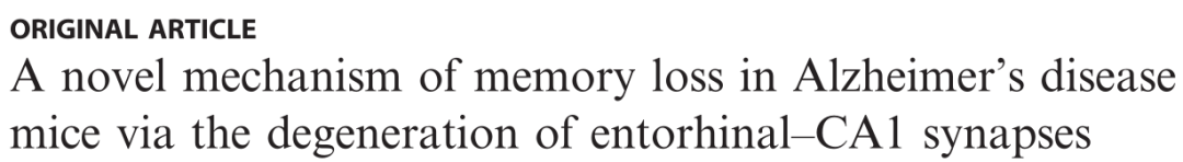 《文献解读》内嗅皮层到CA1的突触功能损伤导致AD小鼠认知障碍新机制