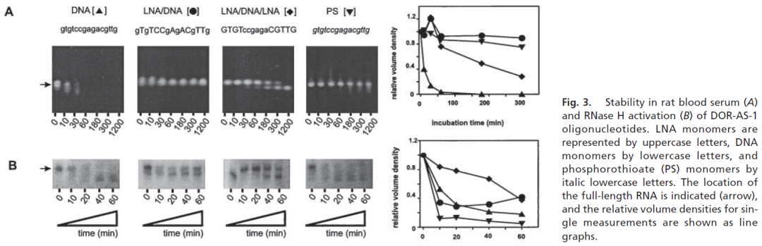 锁核酸 (LNA):化学修饰微调带来新可能