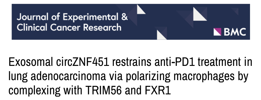 分子探针与表观遗传学研究好文分享：外泌体circZNF451通过与TRIM56和FXR1络合来极化巨噬细胞以抑制肺腺癌的抗PD1治疗(IF=12.658)