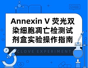 丁香实验推荐阅读