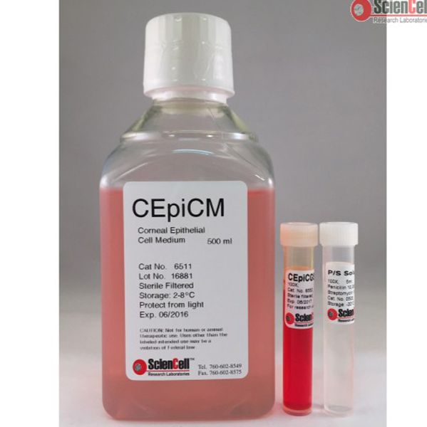 6511 ScienCell 角膜上皮细胞培养基CEpiCM, Corneal Epithelial Cell Medium