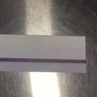 宠物抗原抗体大板