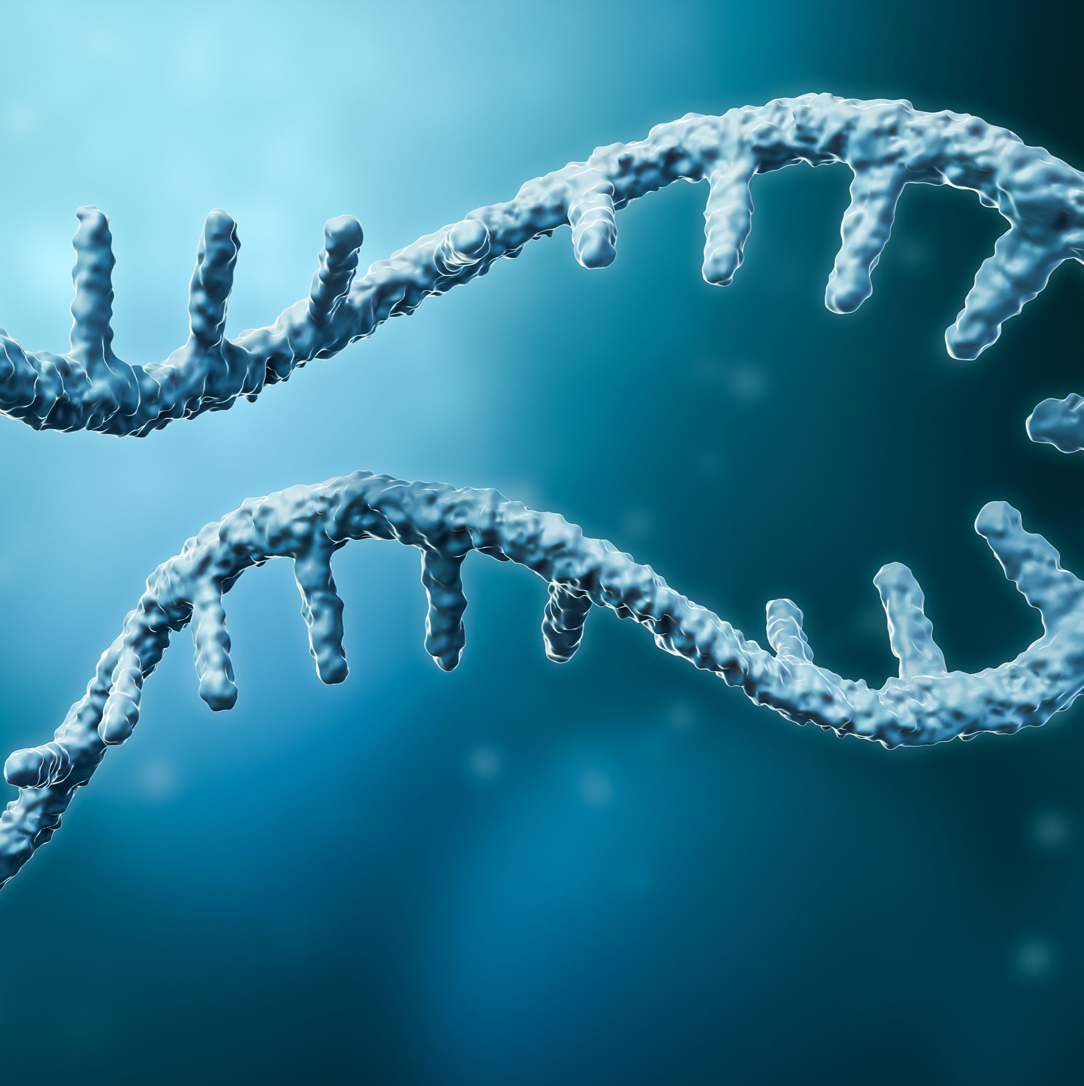 宿主RNA残留检测