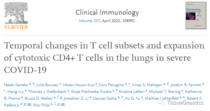 TissueFAXS Cytometry技术再助力MIT团队在新冠肺炎T细胞亚群研究的新发现