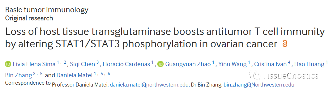 BMJ子刊：卵巢癌中TG2缺失或可增强抗肿瘤T细胞免疫反应