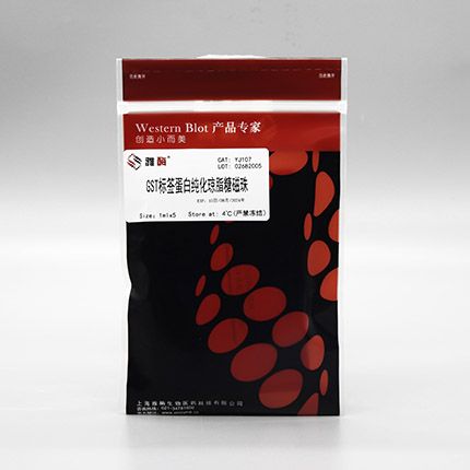 YJ107 GST标签蛋白纯化琼脂糖磁珠