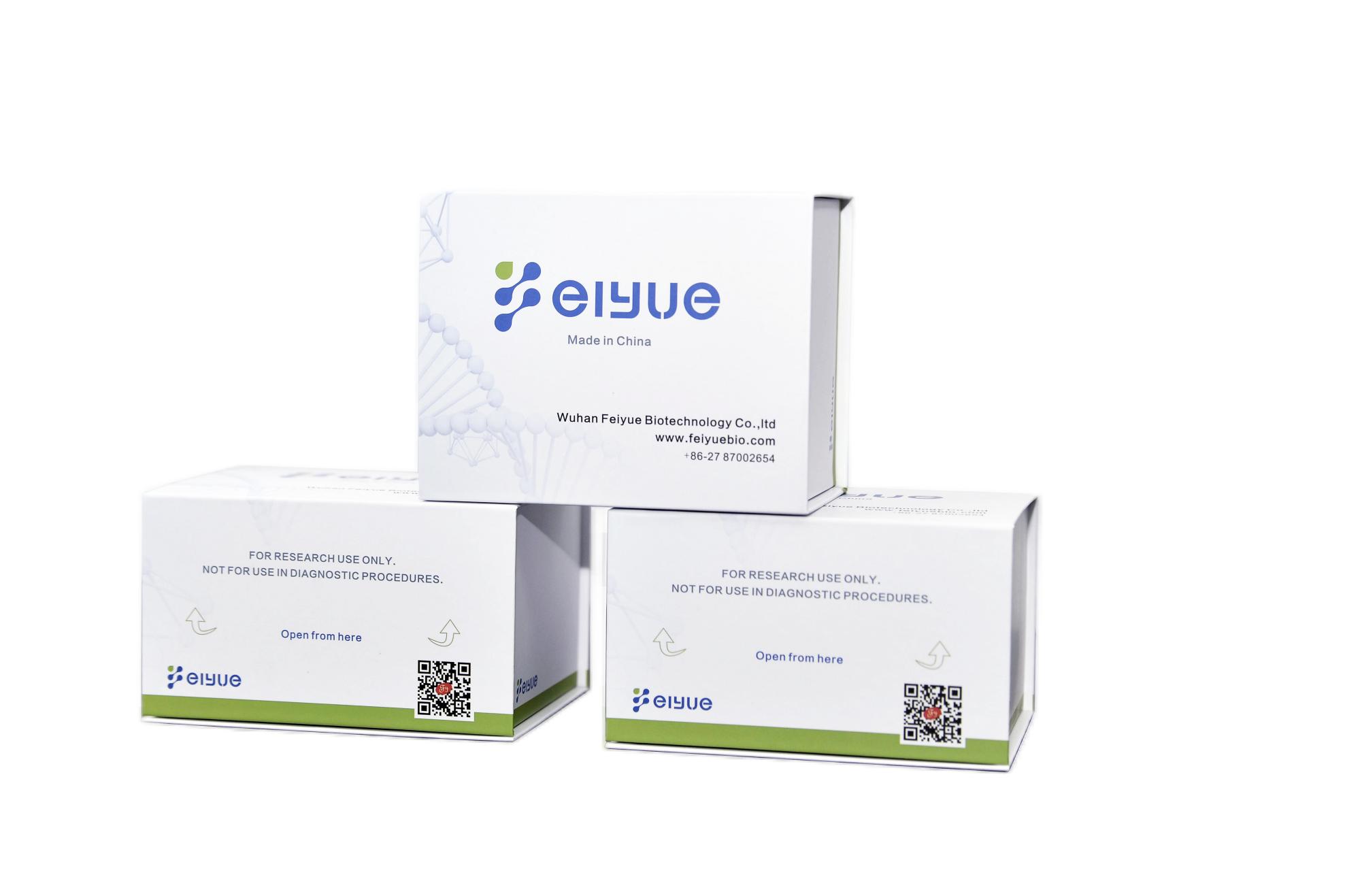 乙酰胆碱酯酶（AchE）活性检测试剂盒（比色法）