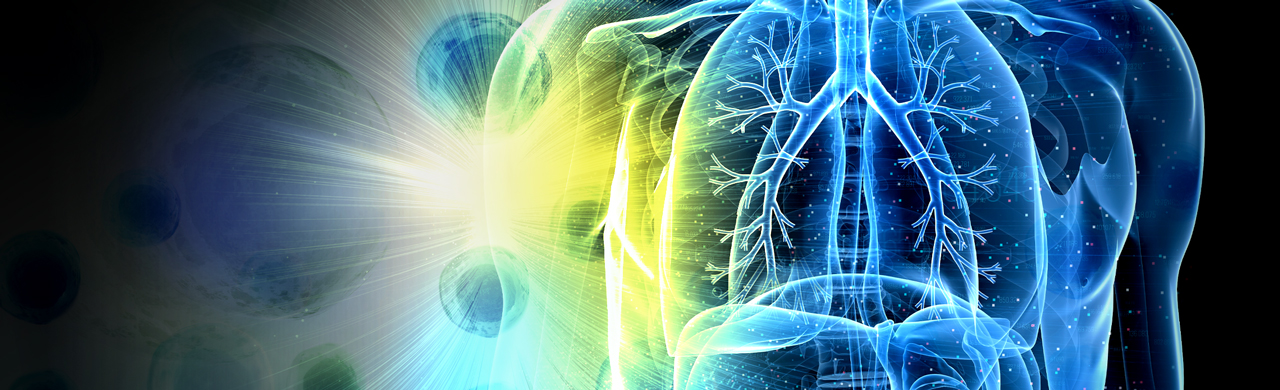 ADAM17：人类疾病中的主要 “脱落酶 (Sheddase)”