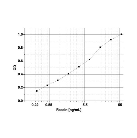 Fascin ELISA 試劑盒