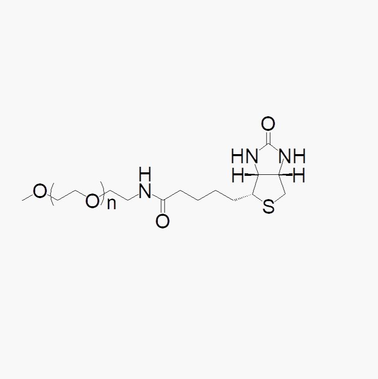 M-PEG-BIOTIN 聚乙二醇衍生物/修饰剂