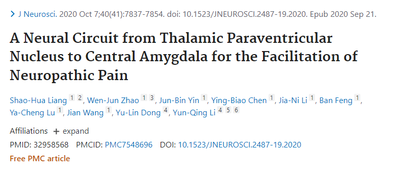 【客户文章】Journal of Neuroscience | 空军军医大学李云庆教授、董玉琳副教授团队在pPVT-CeA-vlPAG下行通路参与疼痛易化研究中取得新进展