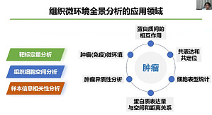 丁香实验推荐阅读