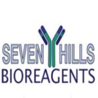 Anti-Pro-SP-C - Rabbit, n-terminal