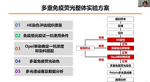 丁香实验推荐阅读