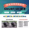 SMURF/5R 微生物 菌群鉴定 16s