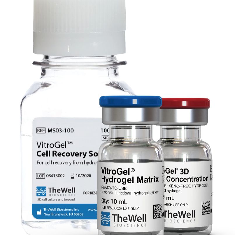 VitroGel® MMP HIGH CONCENTRATION