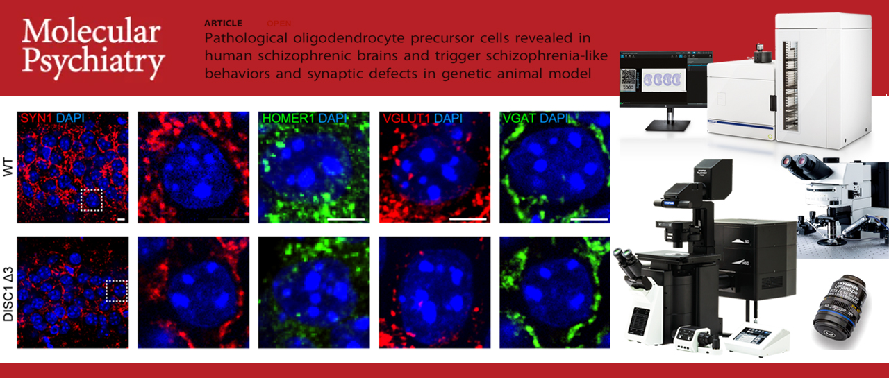 科技前沿丨牛建钦/肖岚团队发现少突胶质前体细胞DISC-Δ3可变剪切抑制兴奋性突触生长导致精神分裂症