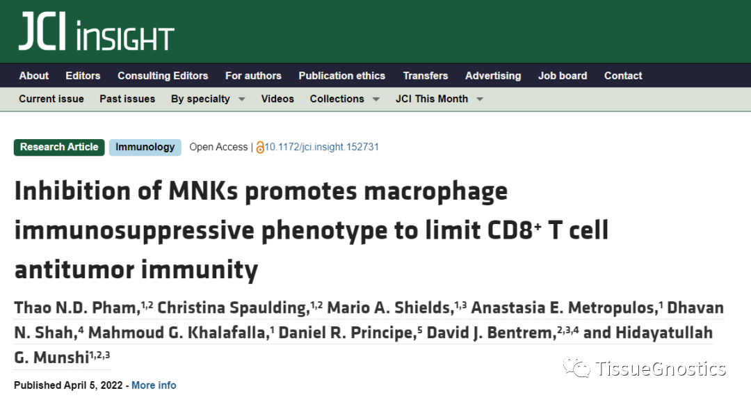 JCI Insight| 通过巨噬细胞调控CD8+T 细胞肿瘤免疫的新机制