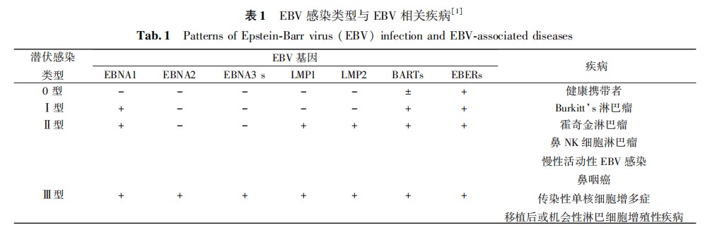 eb病毒感染与鼻咽癌