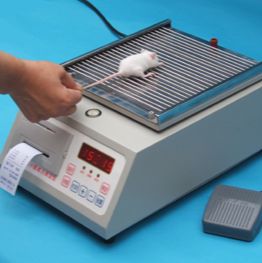 大小鼠抓力测定仪 小动物抓力测定仪