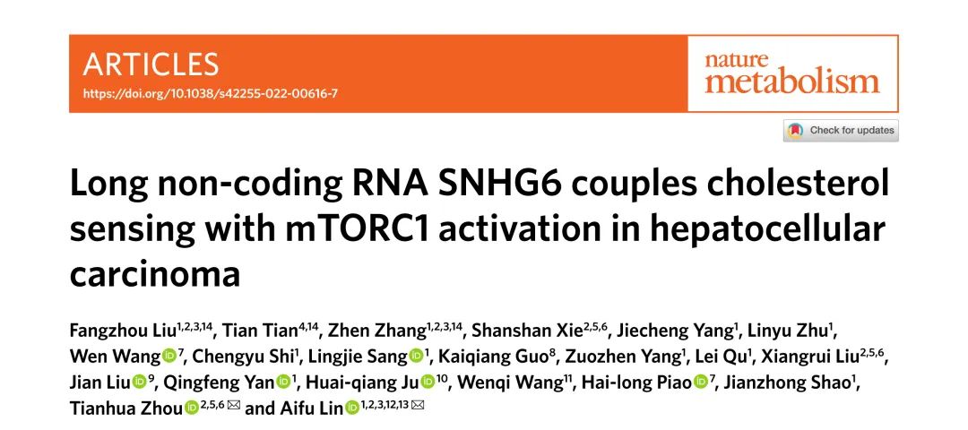 Nature子刊丨lncRNA SNHG6通过调节胆固醇诱导的mTORC1激活来驱动NAFLD-HCC的进展