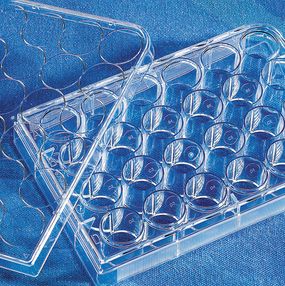 Corning3421 Transwell嵌套，含24孔板（PC膜，6.5mm，5.0um)