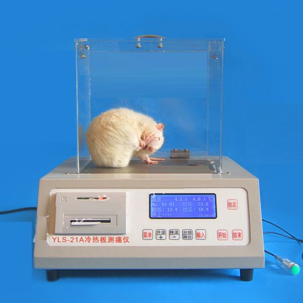 冷热板测痛仪 大小鼠冷热板测痛仪 小动物冷热板测痛仪